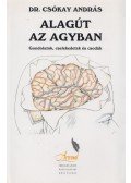 Dr. Csókay András - Alagút az agyban