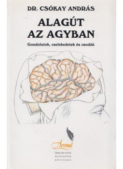 Dr. Csókay András - Alagút az agyban Dr. Csókay András - Alagút az agyban, Budapest 2004 antikvár könyv