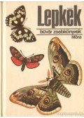 Dr. Kalmár Zoltán - Lepkék