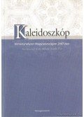 Voszka Éva,Laki Mihály - Kaleidoszkóp versenyhelyzet magyarországon 2007-ben