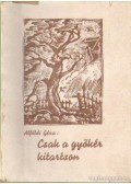 Alföldi Géza - Csak a gyökér kitartson