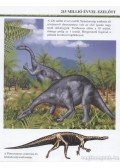 Kordos László,Sipos Norbert - Sárkánygyíkok