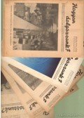 Teknős Péterné (fel. kiadó) - Hogyan dolgozzunk? 1950. IV. évf. (hiányos)