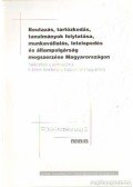 Mézes Zsolt László - Beutazás, tartózkodás, tanulmányok folytatása, munkavállalás, letelepedés és állampolgárság megszerzése magyarországon