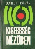 Schlett István - Kisebbségnézőben