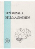 Dr. Hajdú Ferenc - Vezérfonal a neuroanatómiához