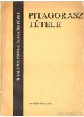 Bereznai Gyula - Pitagorasz tétele