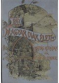 Donászy Ferencz - Egy magyar diák élete Mátyás király korában
