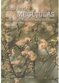 Böde István - Megújulás
