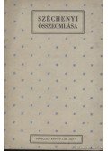 Széchenyi István - Széchenyi összeomlása