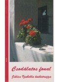 Jálics Izabella - Csodálatos fonal
