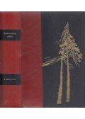 Dosztojevszkij, Fjodor Mihajlovics - A félkegyelmű