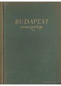 Dr. Pécsi Márton,Marosi Sándor,Szilárd Jenő dr. - Budapest természeti képe