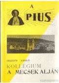 Hegedűs László - A Pius  Kollégium a Mecsek alján