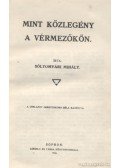Sólyomvári Mihály - Mint közlegény a vérmezőkön