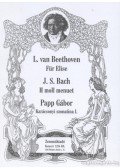 Beethoven, Ludwig von,Papp Gábor,J. S. Bach - Für Elise / H moll menuett / Karácsonyi szonatina I.