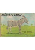 László Gyula - Háziállatok