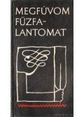 Kövesdi Péter - Megfúvom fűzfalantomat