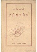 Szép Ernő - Zümzüm