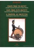 Zempléni László - A triótól az oktettig