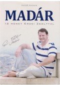 Szegő András - Madár