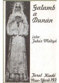 Fehér Mátyás - Galamb a Dunán