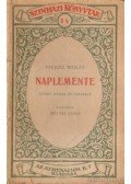 Wolff, Pierre - Naplemente