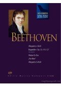 Beethoven, Ludwig van - Hits & Rarities zongorára