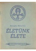 Bangha Béla - Életünk élete
