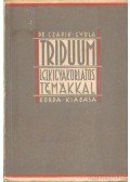 Czapik Gyula dr. - Triduum lelkigyakorlatos témákkal