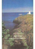 P. Bálint József - Fiatalok világítótornya