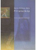 Borsi-Kálmán Béla - Pillanatkép
