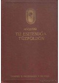 Agostini, Alberto M. De - Tíz esztendő a Tűzföldön