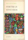 William Styron - Feküdj le sötétben