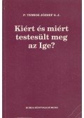 P. Temesi József - Kiért és miért testesült meg az Ige?