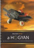 Balogh Ottó - A hogyan