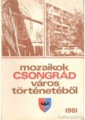 Bálint Gyula György - Mozaikok Csongrád város történetéből