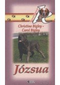 Bigley, Carol,Bigley, Christina - Józsua
