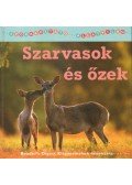 Christina, Wilsdon - Szarvasok és őzek