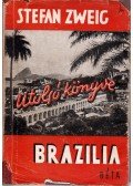 Stefan Zweig - Brazília