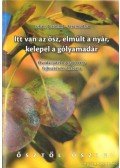 Ferencz Éva,Lukács Józsefné - Itt van az ősz, elmúlt a nyár, kelepel a gólyamadár
