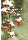 Ferencz Éva,Lukács Józsefné - Esik a hó, fúj a szél, varjú károg, itt a tél