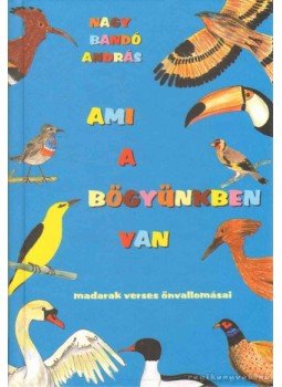Nagy Bandó András - Ami a bögyünkben van Nagy Bandó András - Ami a bögyünkben van, Orfű 2009 antikvár könyv