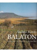 Szelényi Károly - Balaton