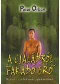 Orbán Péter - A családból fakadó erő