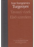 Ivan Turgenyev - Tavaszi vizek / Első szerelem