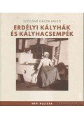 Szőcsné Gazda Enikő - Erdélyi kályhák és kályhacsempék