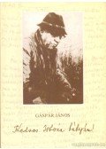 Gáspár János - Kedves István bátyám!