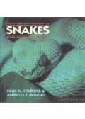 Stoops, Erik D.,Wright, Annette T. - Snakes