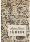 Bertha Bulcsu - Tűzgömbök